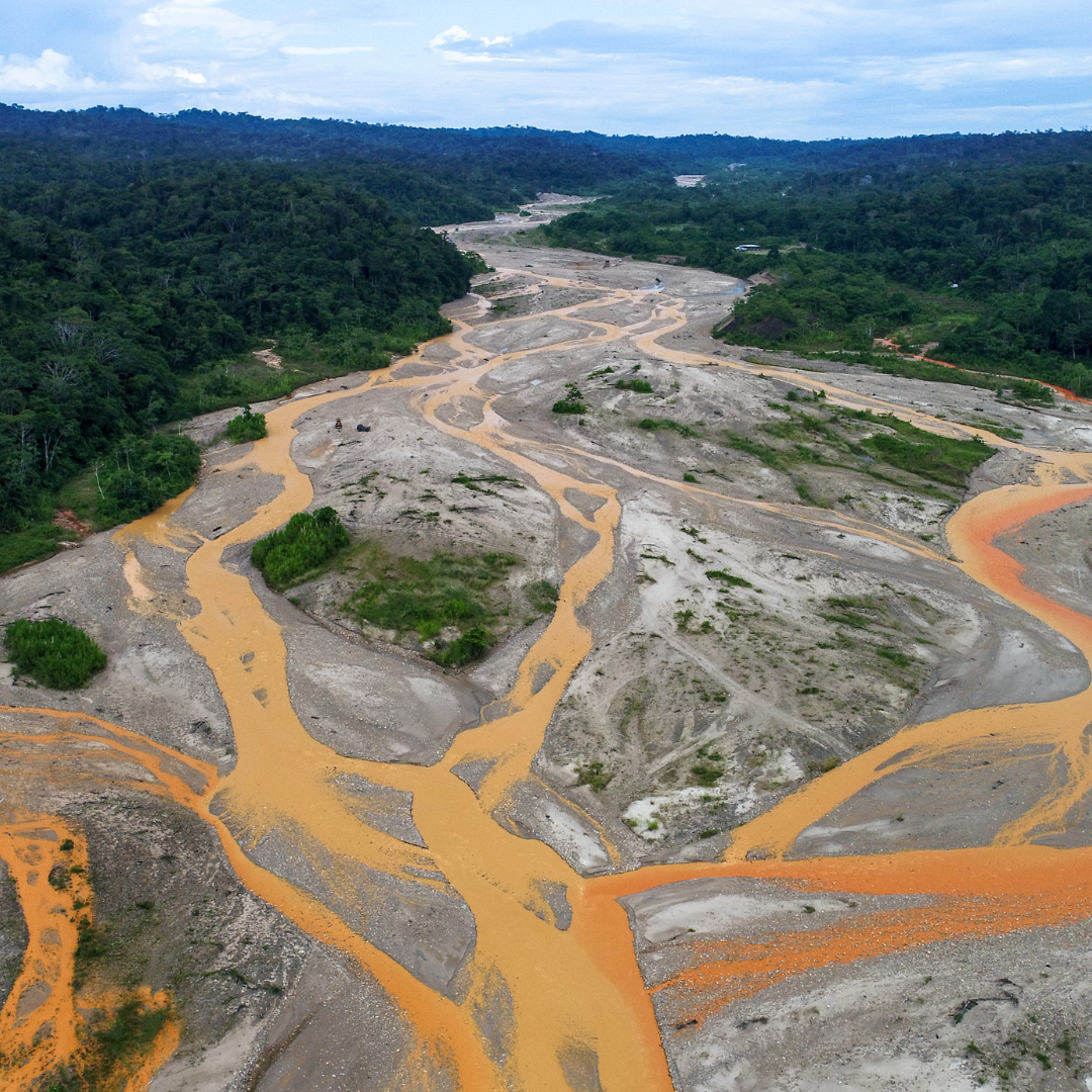 GOLD: A CONSERVATIONIST’S VIEWPOINT